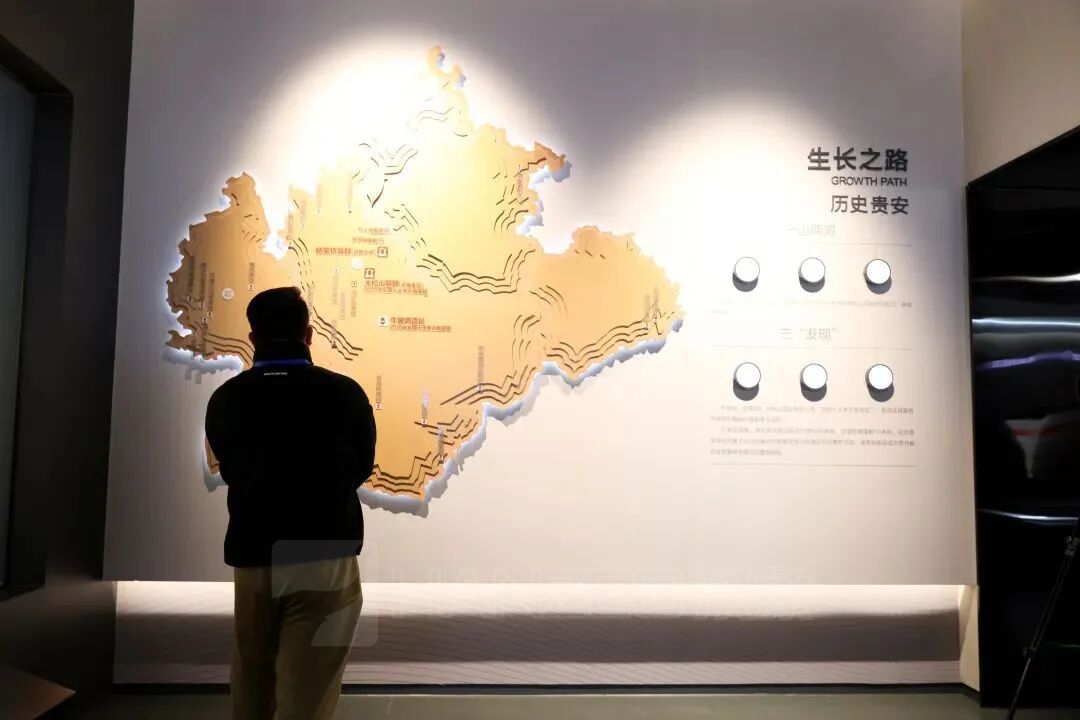 477.jpg