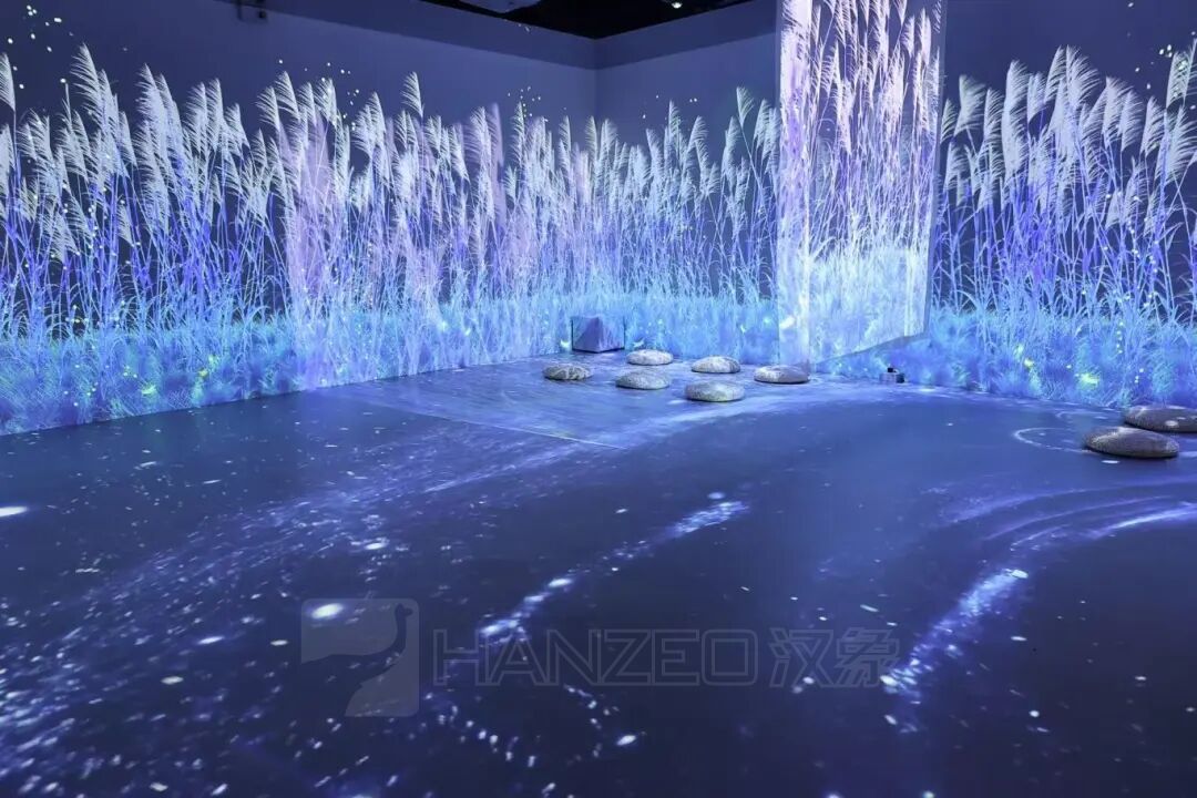 775.jpg
