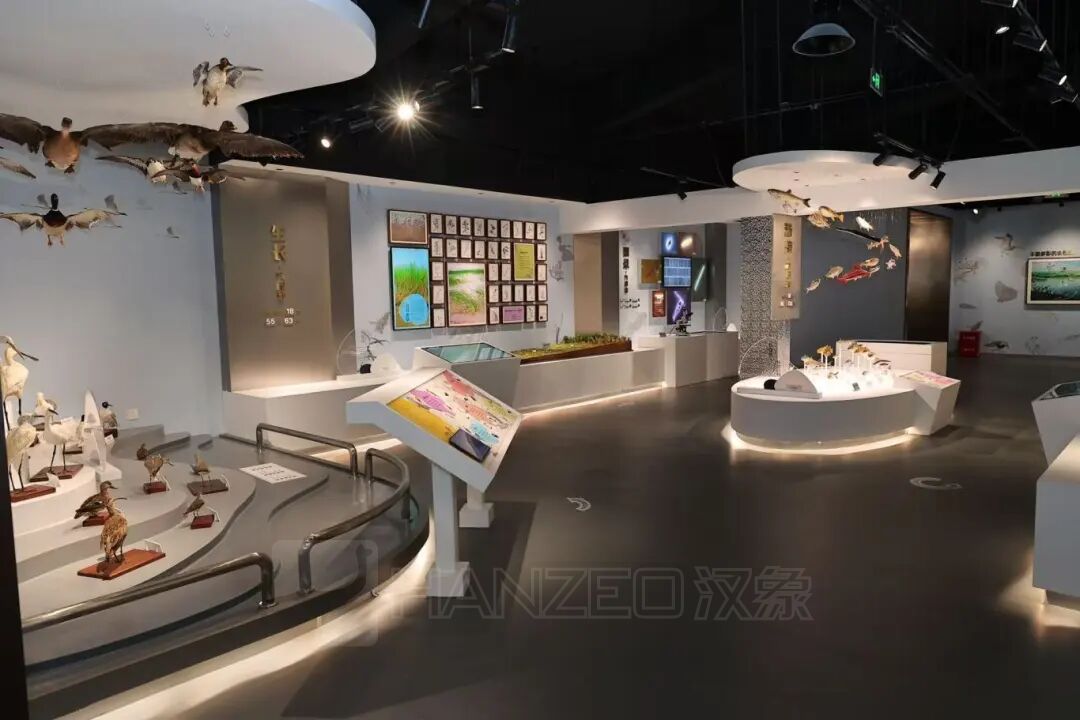 776.jpg