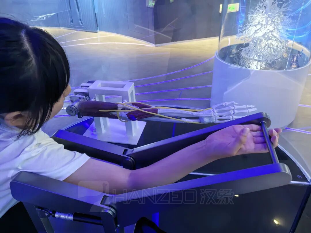 走进苏州健康科普馆,解锁健康密码(图4) 1364.jpg