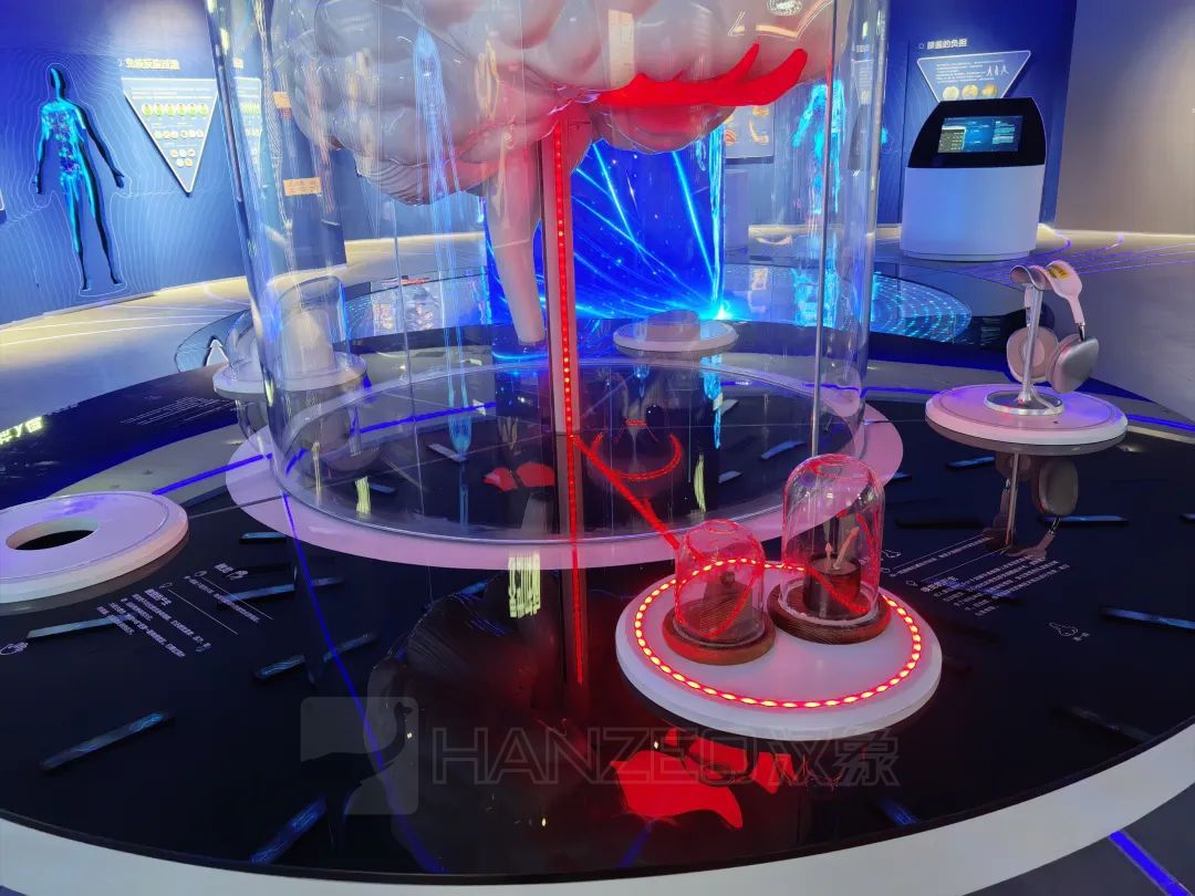 走进苏州健康科普馆,解锁健康密码(图7) 1367.jpg