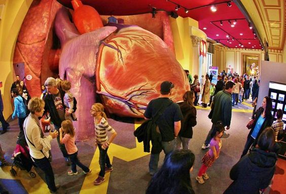 医疗展厅展馆设计解决方案该如何策划(图5)